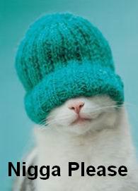 Nigga please
Rap cat
