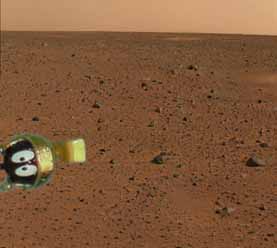 Marvin caught by the Mars Rover

