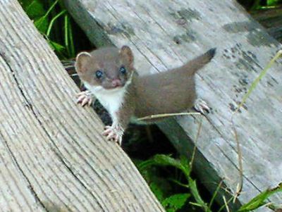 Cute
Cute, cute, cute!
