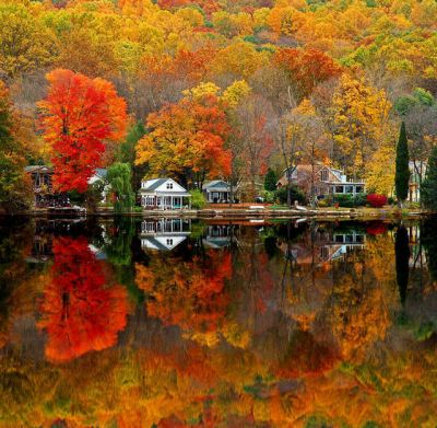 Autum scene
Beautiful
