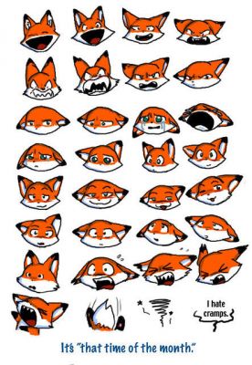 That time of the month
Moody fox
