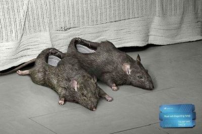 Rat slippers
In the ghetto they make do with what they have
