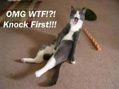Caught Cat
Knock first!
