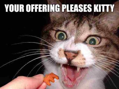 Pleasing kitty
