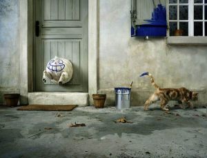 cat_02_1__1.jpg